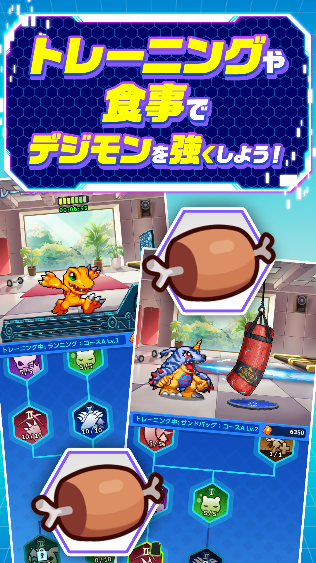 トレーニング画面。アグモンがランニングマシン、ガブモンがサンドバッグでコースをこなし、食事アイテムの肉が添えられている